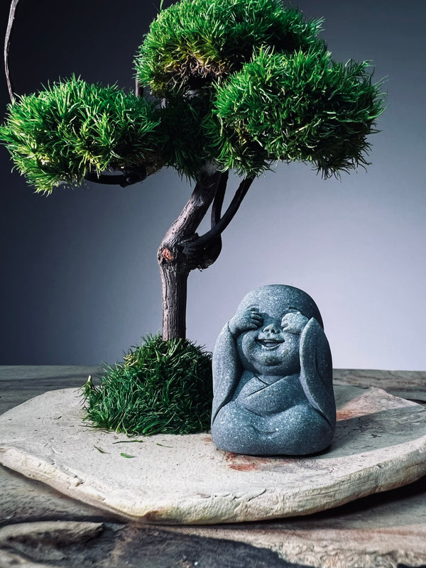 A Small Tree in the East - Classic - Journeyman (Preserved Plants)