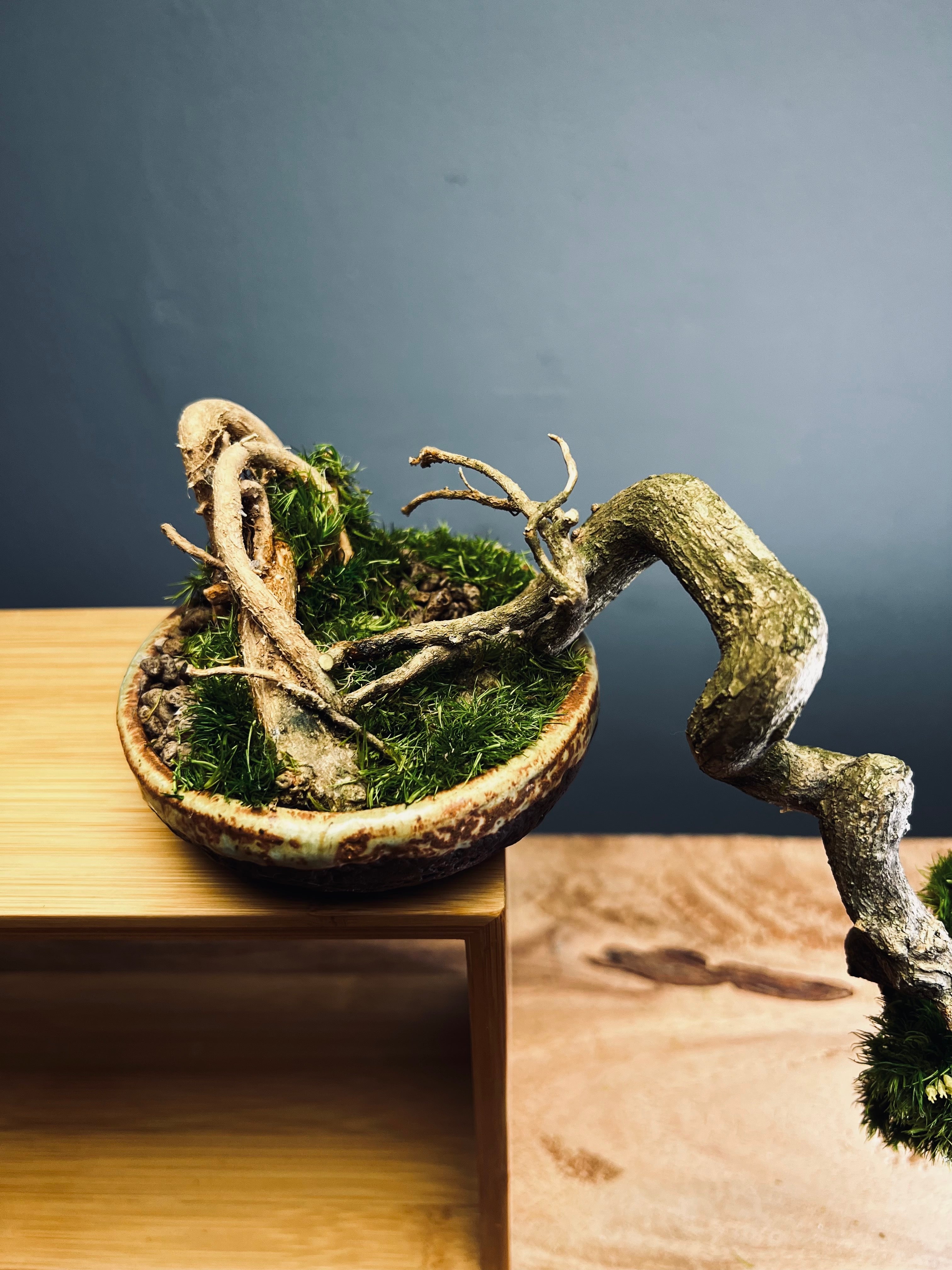 Summer's Whispers - Smaller version (Preserved Plants)