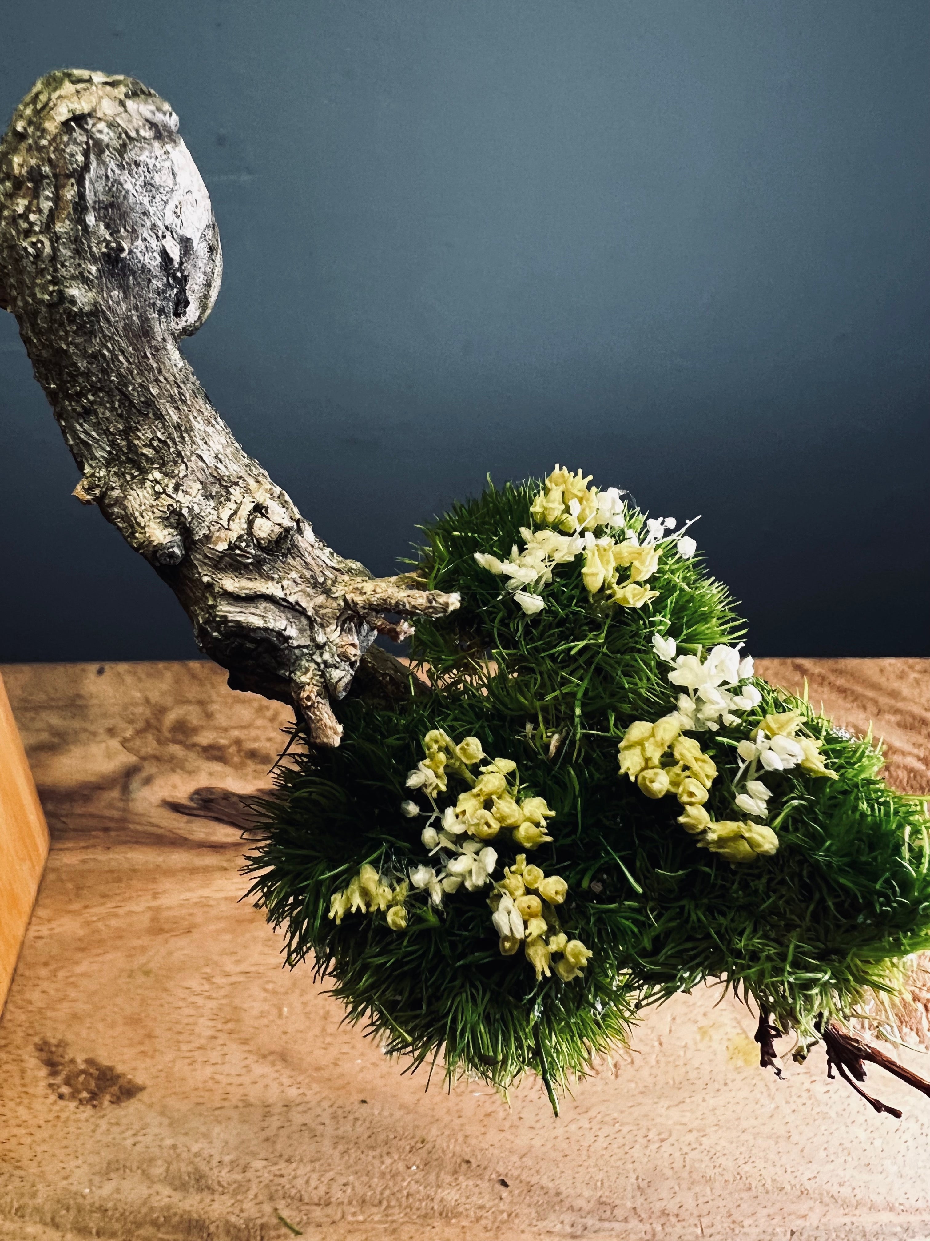 Summer's Whispers - Smaller version (Preserved Plants)