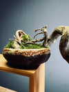 Summer's Whispers - Smaller version (Preserved Plants)