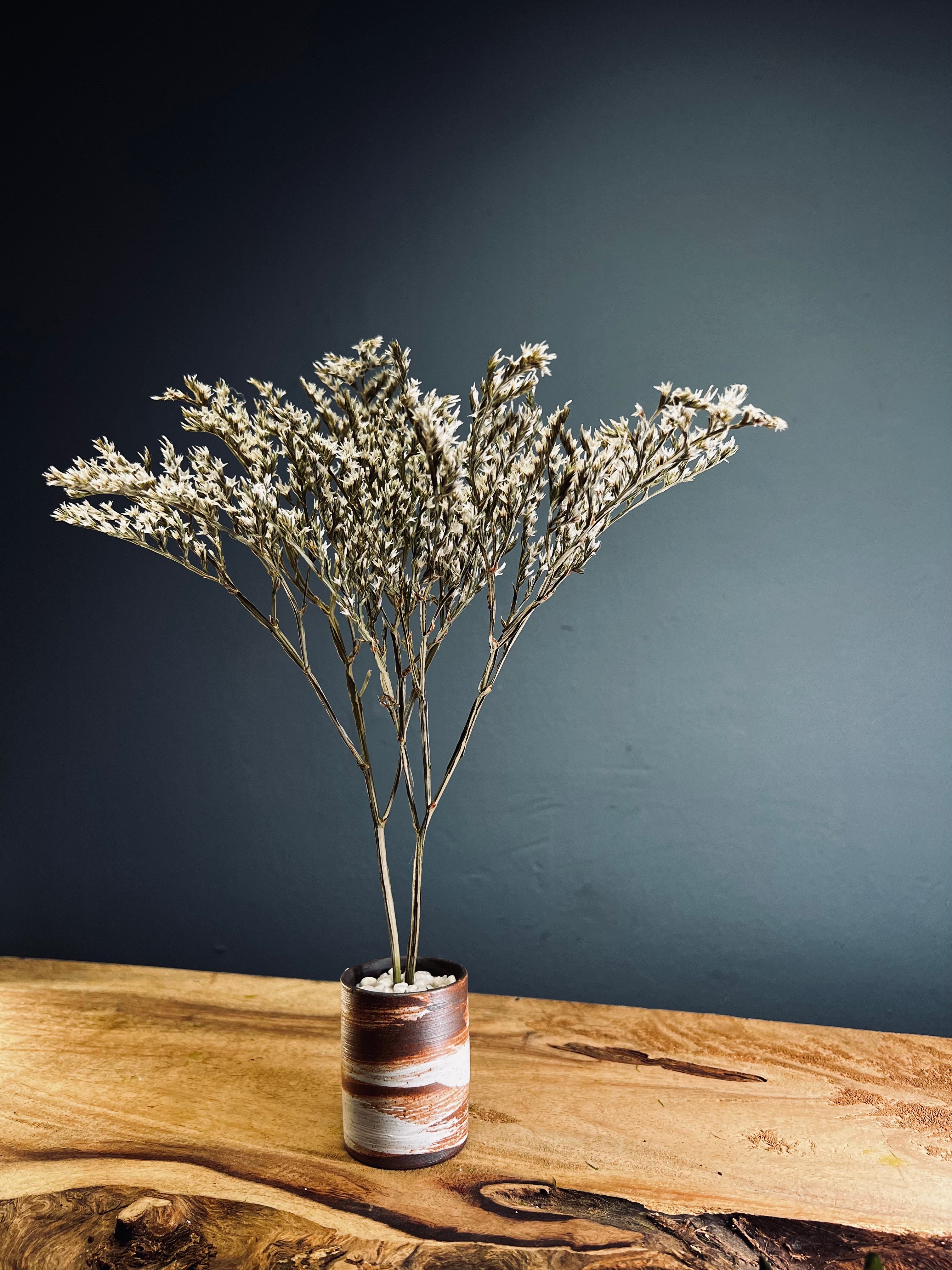 Kindling - Statice edition (Preserved Plants)