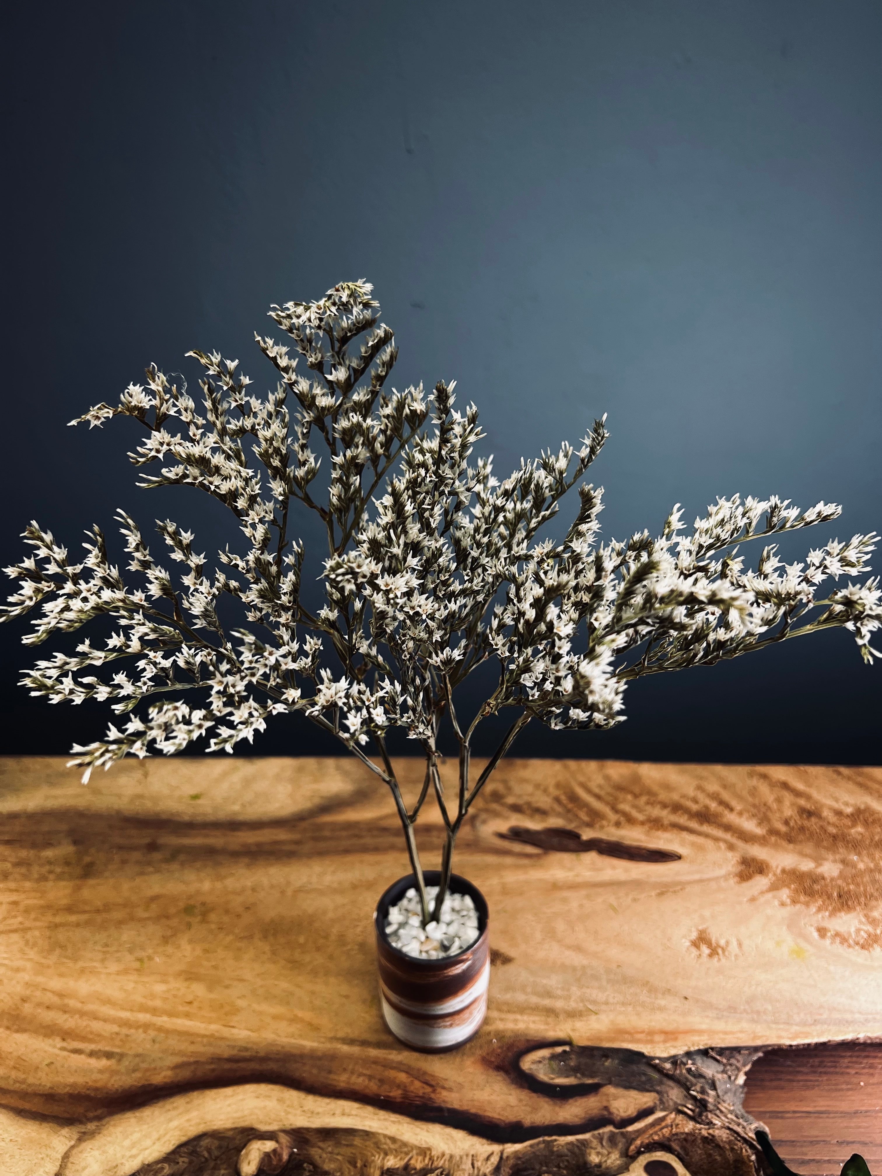 Kindling - Statice edition (Preserved Plants)