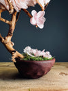 A Small Tree in the East - Sakura - Vermilion Clay edition (Preserved Plants)