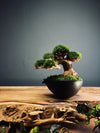Slow Wood - Young - Garden edition (Preserved Plants)