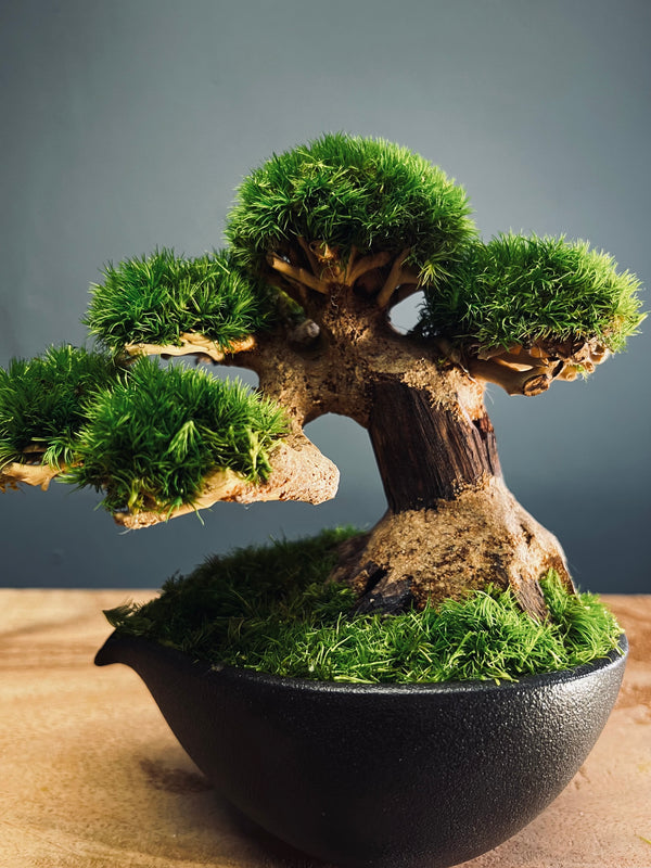 Slow Wood - Young - Garden edition (Preserved Plants)
