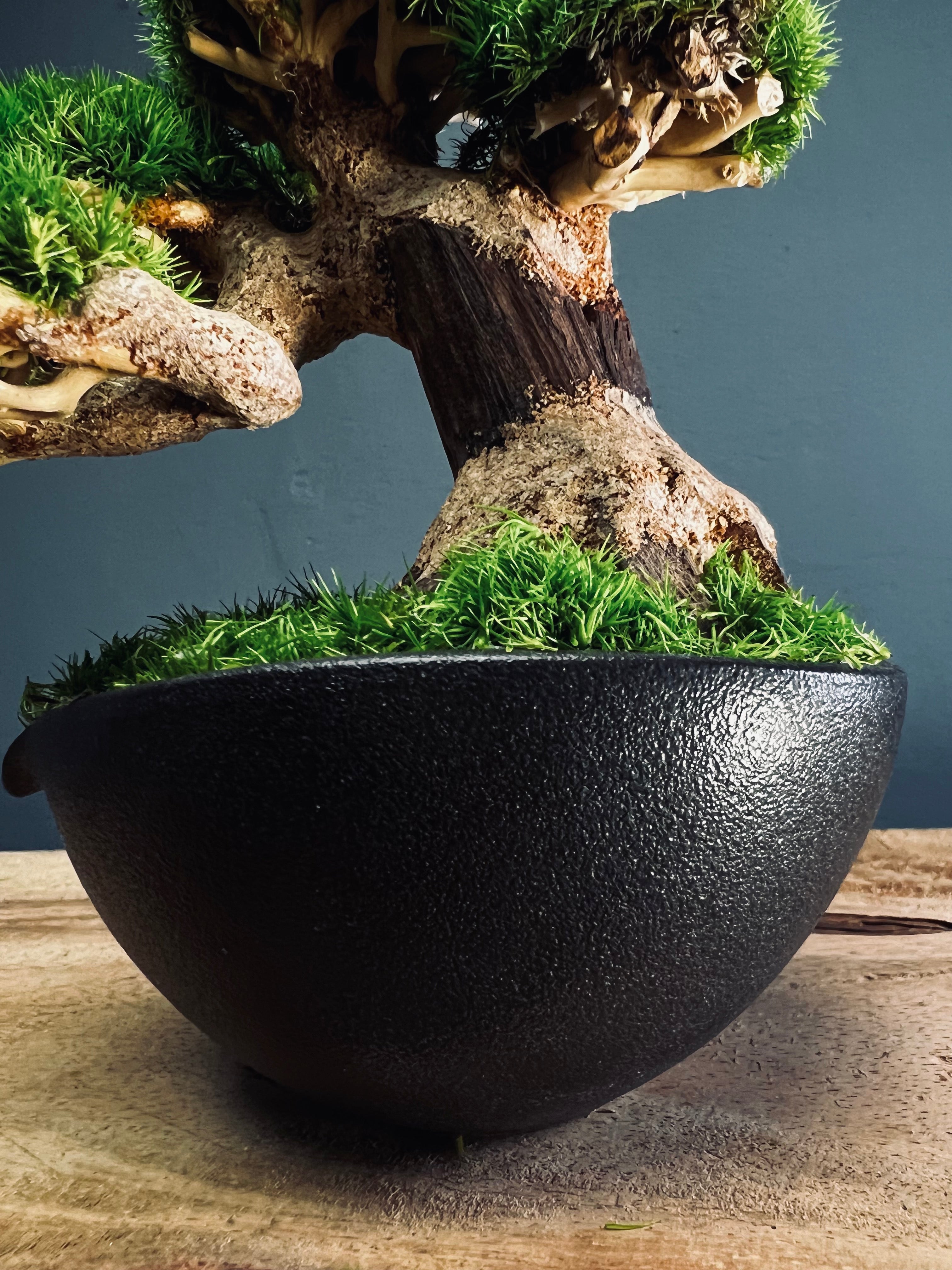 Slow Wood - Young - Garden edition (Preserved Plants)