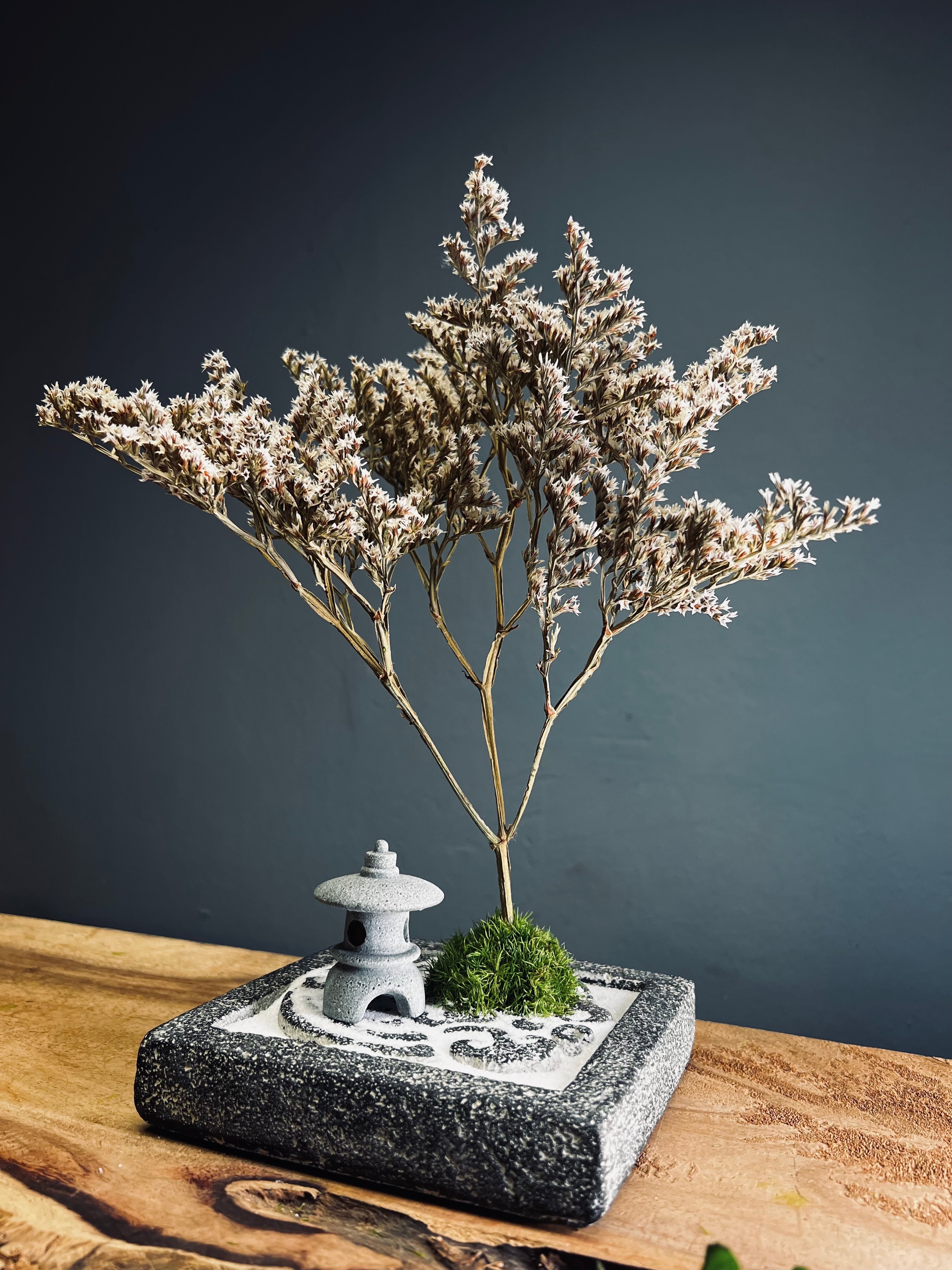 Snowfall - Anchor edition (Preserved Plants)