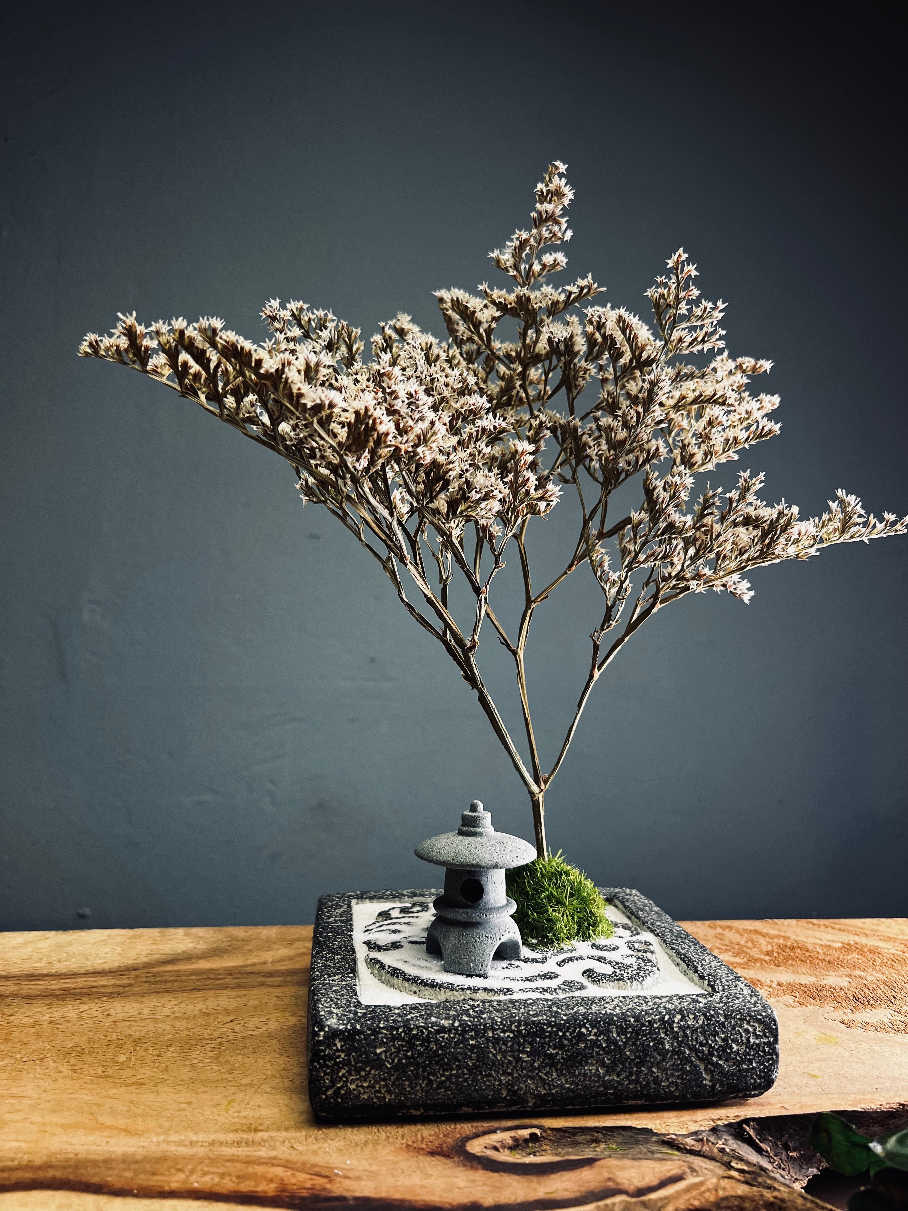 Snowfall - Anchor edition (Preserved Plants)