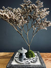 Snowfall - Anchor edition (Preserved Plants)