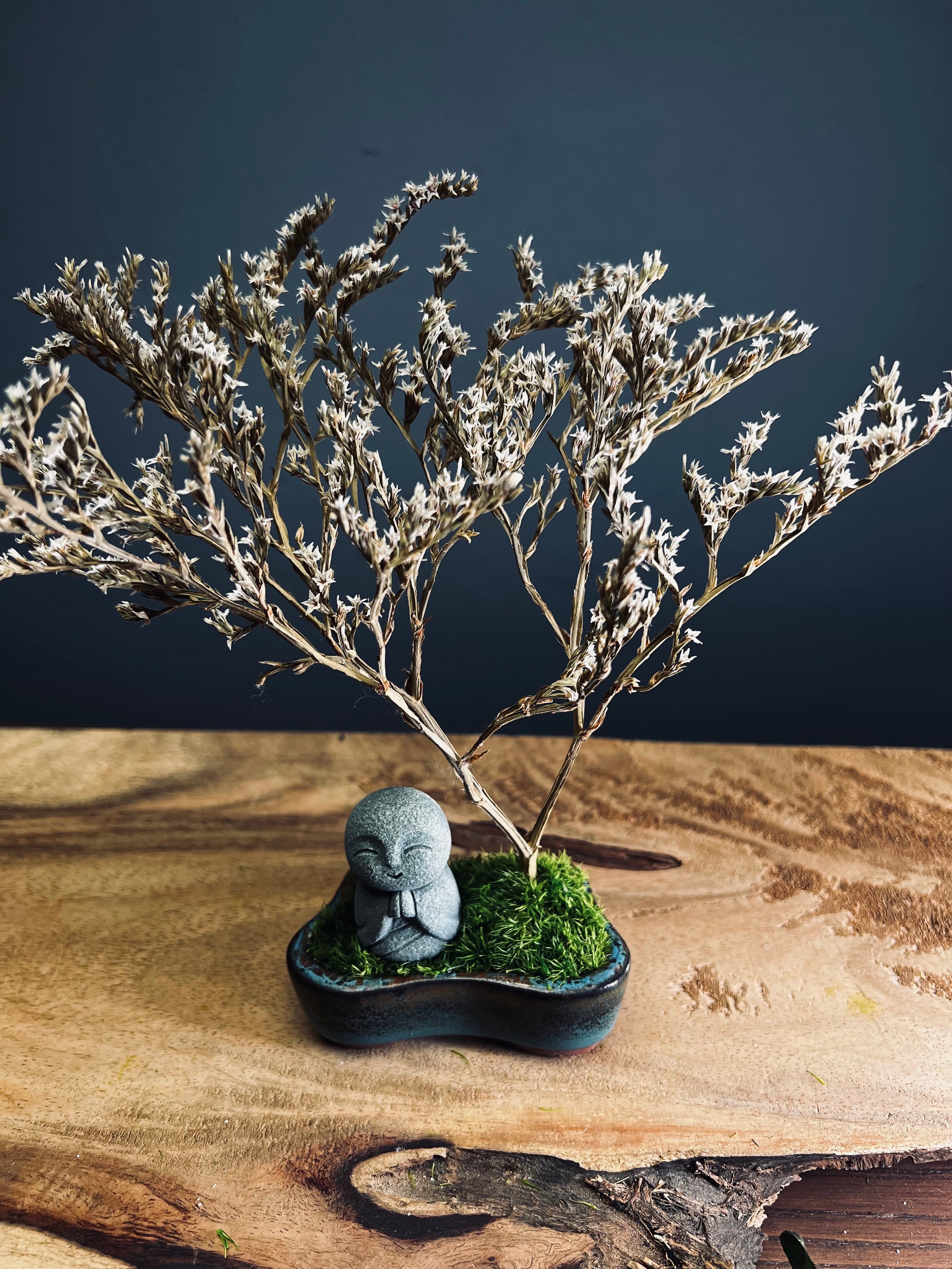 Kindling - Statice- Journeyman edition (Preserved Plants)