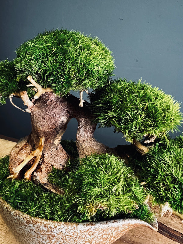 Slow Wood - Young - Garden edition (Preserved Plants)