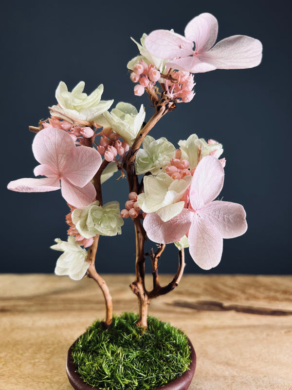 A Small Tree in the East - Cherry in Wait - Vermilion Clay edition (Preserved Plants)