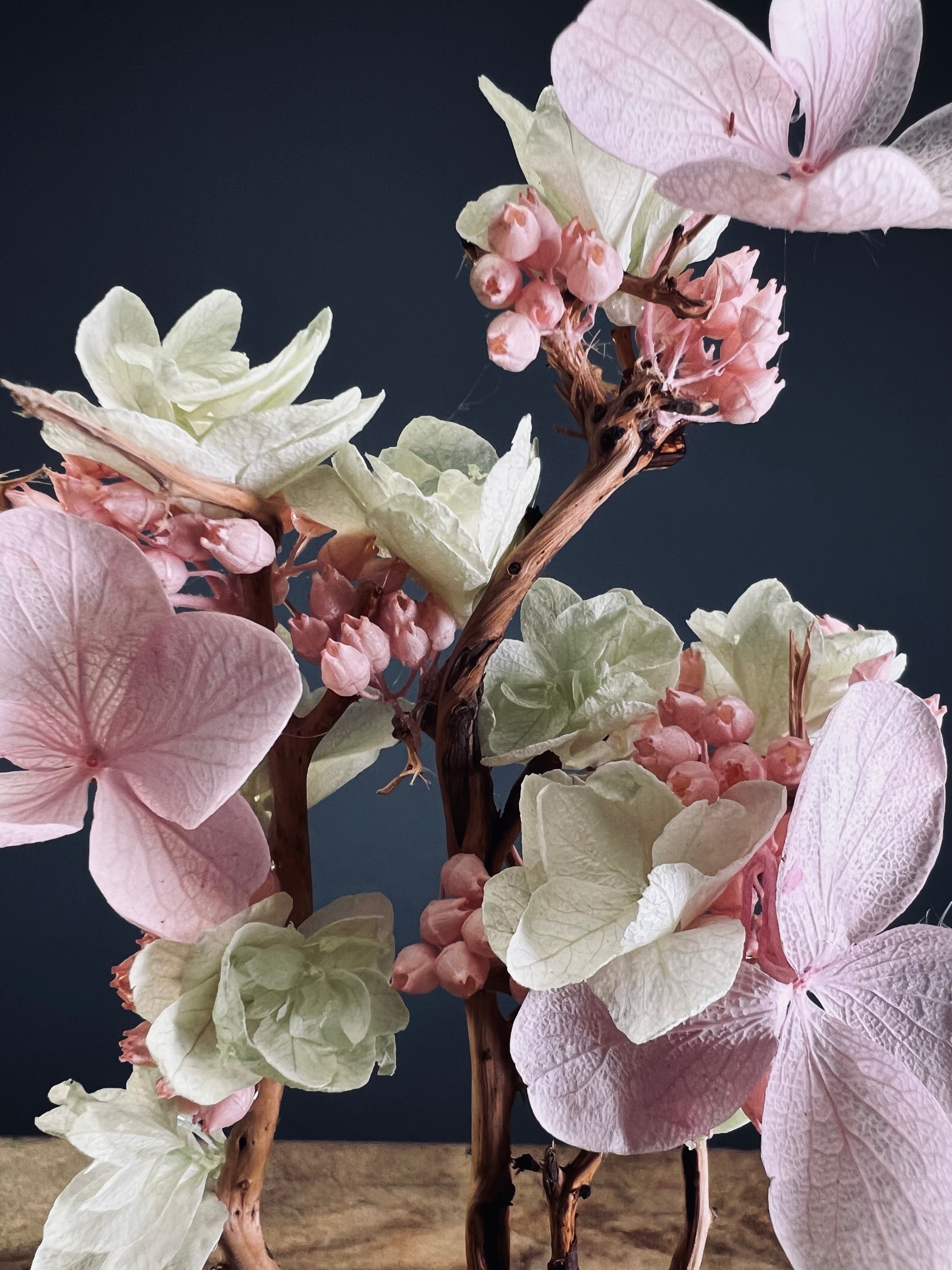 A Small Tree in the East - Cherry in Wait - Vermilion Clay edition (Preserved Plants)