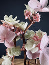 A Small Tree in the East - Cherry in Wait - Vermilion Clay edition (Preserved Plants)
