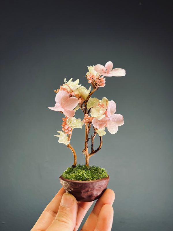 A Small Tree in the East - Cherry in Wait - Vermilion Clay edition (Preserved Plants)