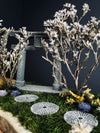 Path in the East (Preserved Plants)