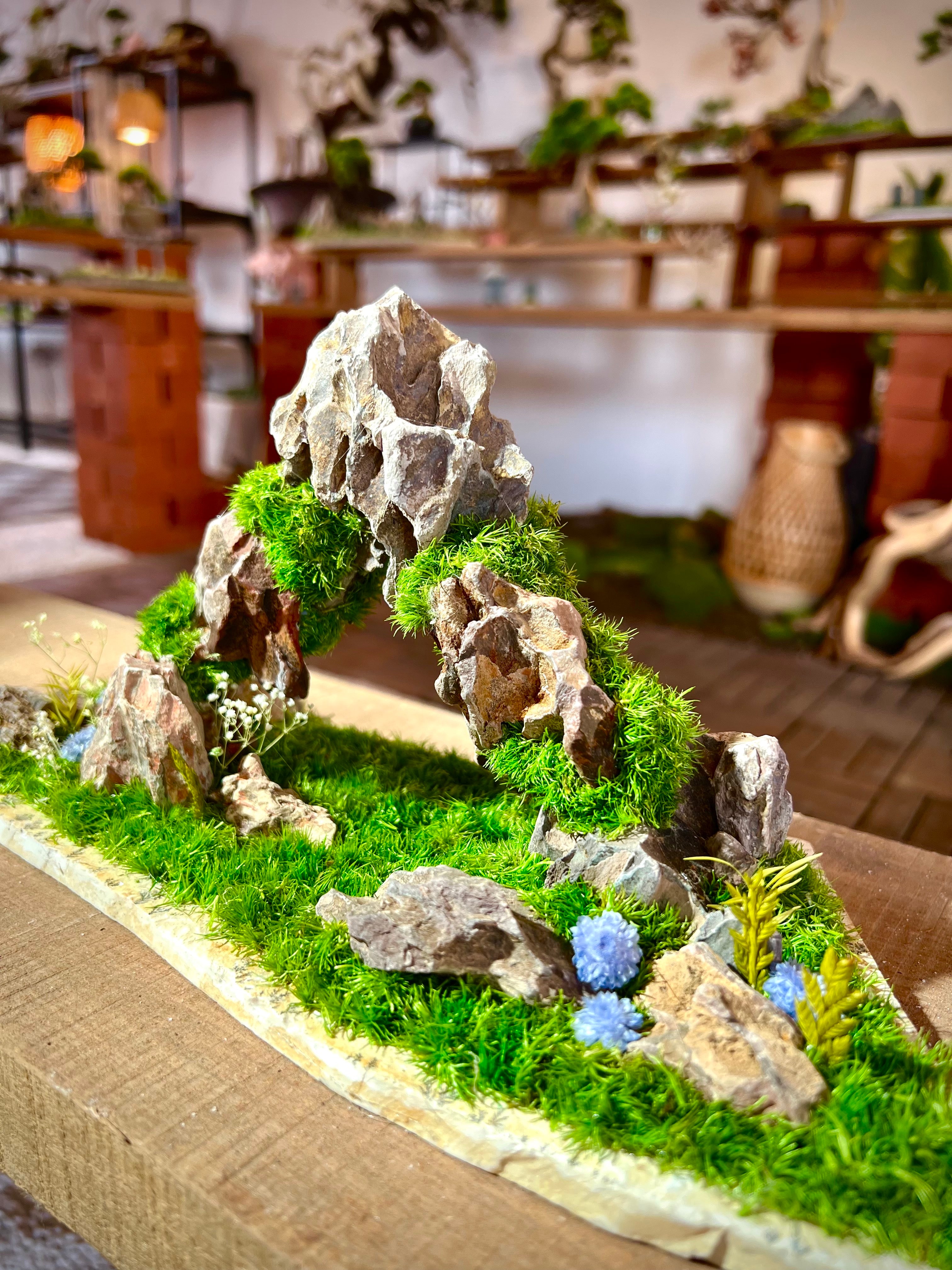 Angel's Landing - Smaller version (Preserved Plants)