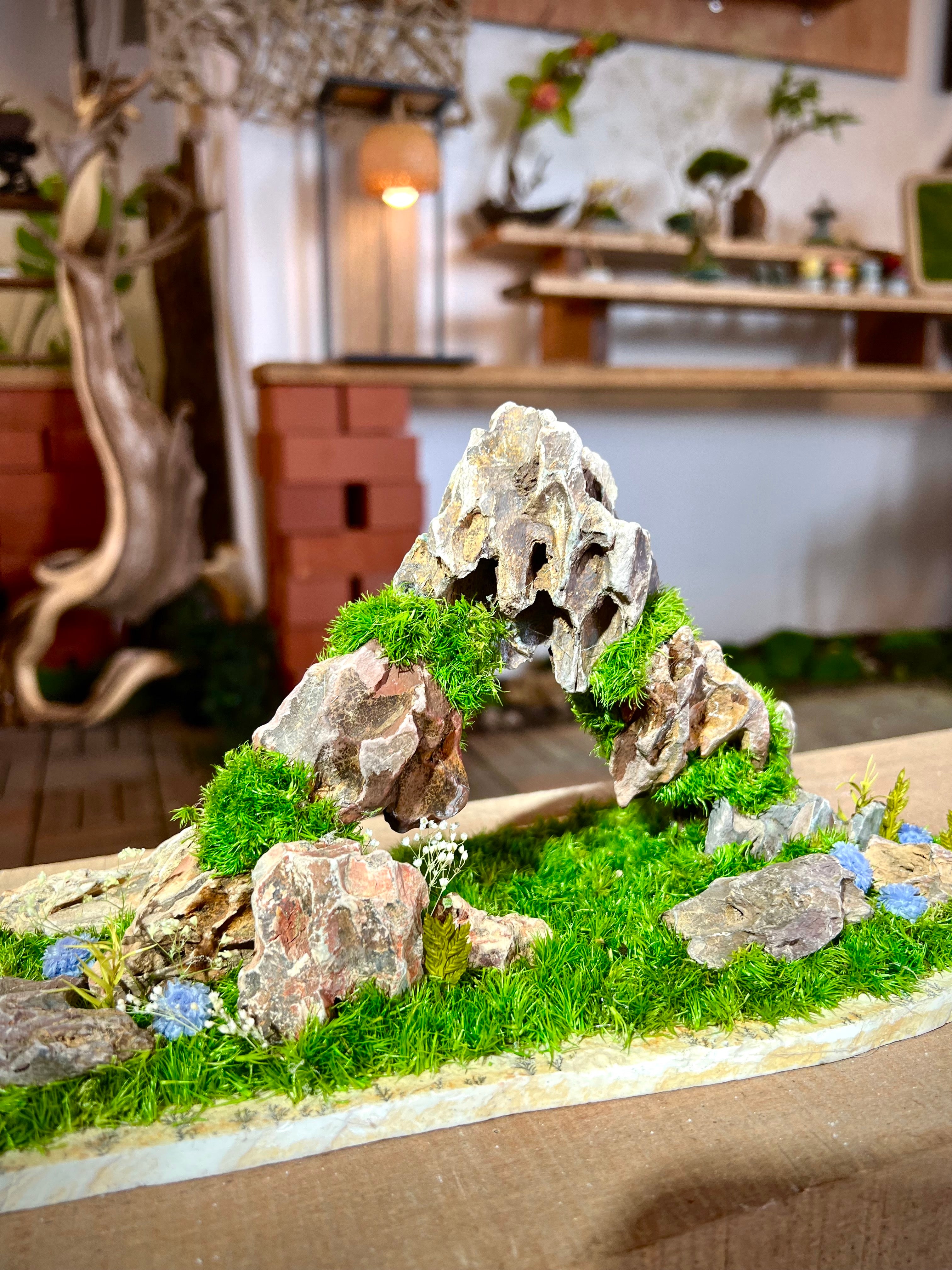 Angel's Landing - Smaller version (Preserved Plants)