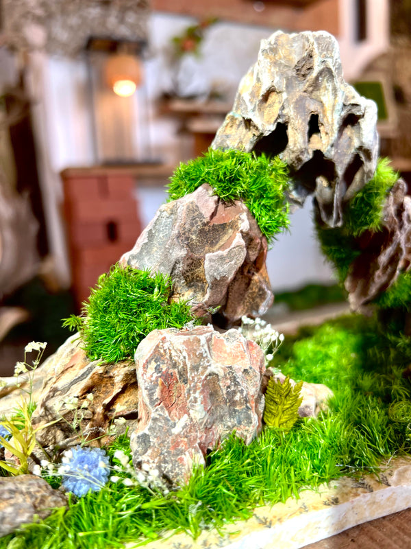 Angel's Landing - Smaller version (Preserved Plants)
