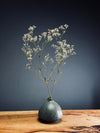 Kindling - Baby's Breath (Preserved Plants)