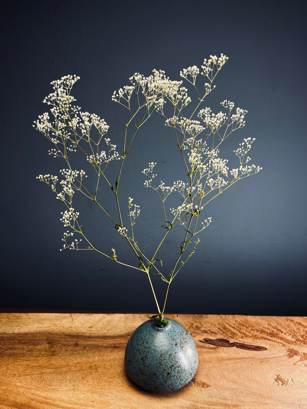 Kindling - Baby's Breath (Preserved Plants)