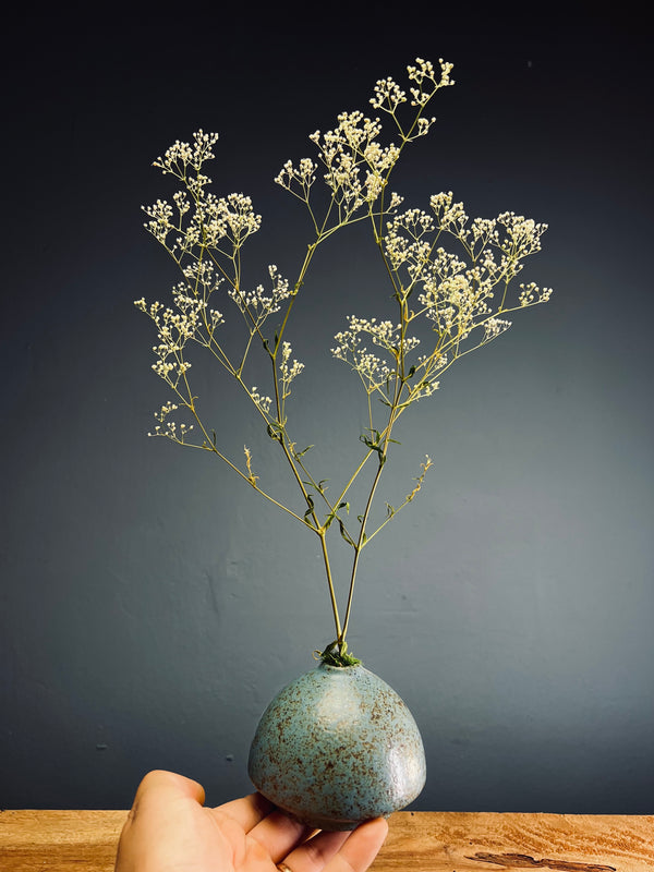 Kindling - Baby's Breath (Preserved Plants)