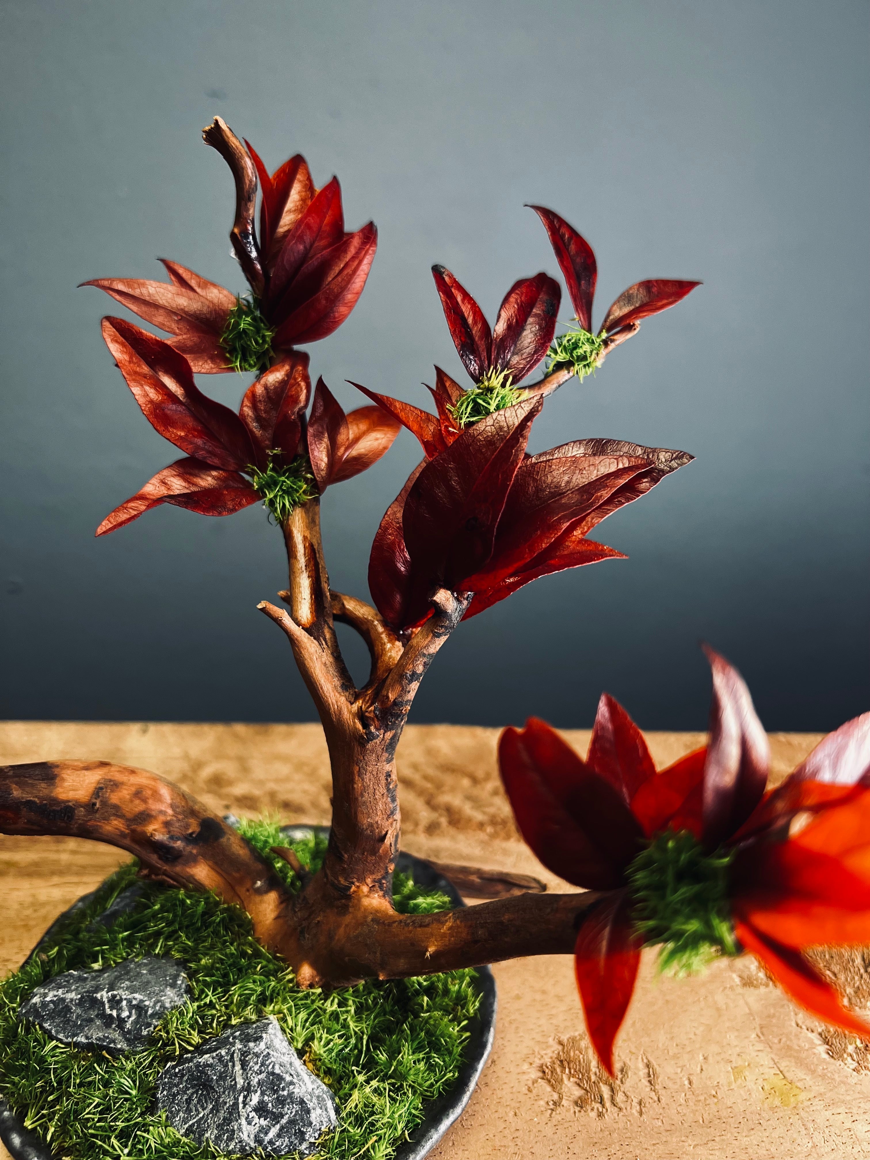 Theatre of Autumn (Preserved Plants)