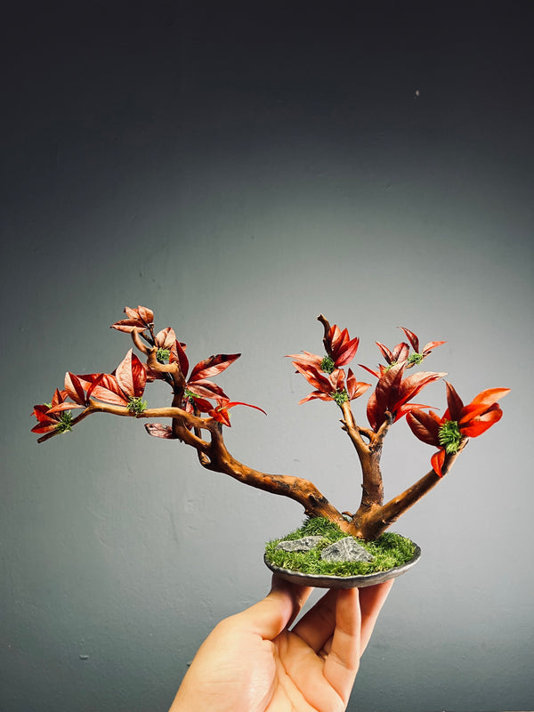 Theatre of Autumn (Preserved Plants)