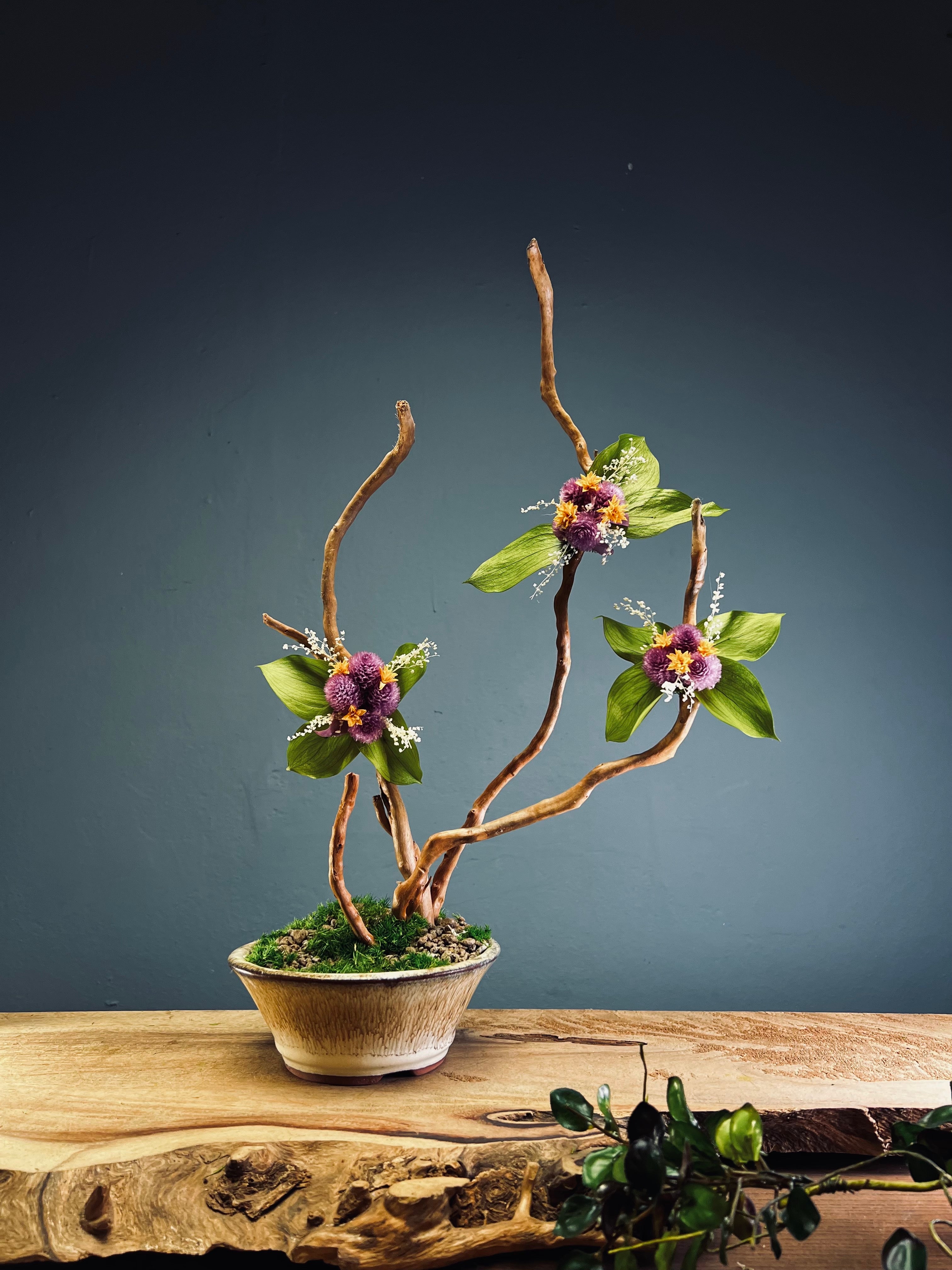 Children of the Forest - Large version (Preserved Plants)