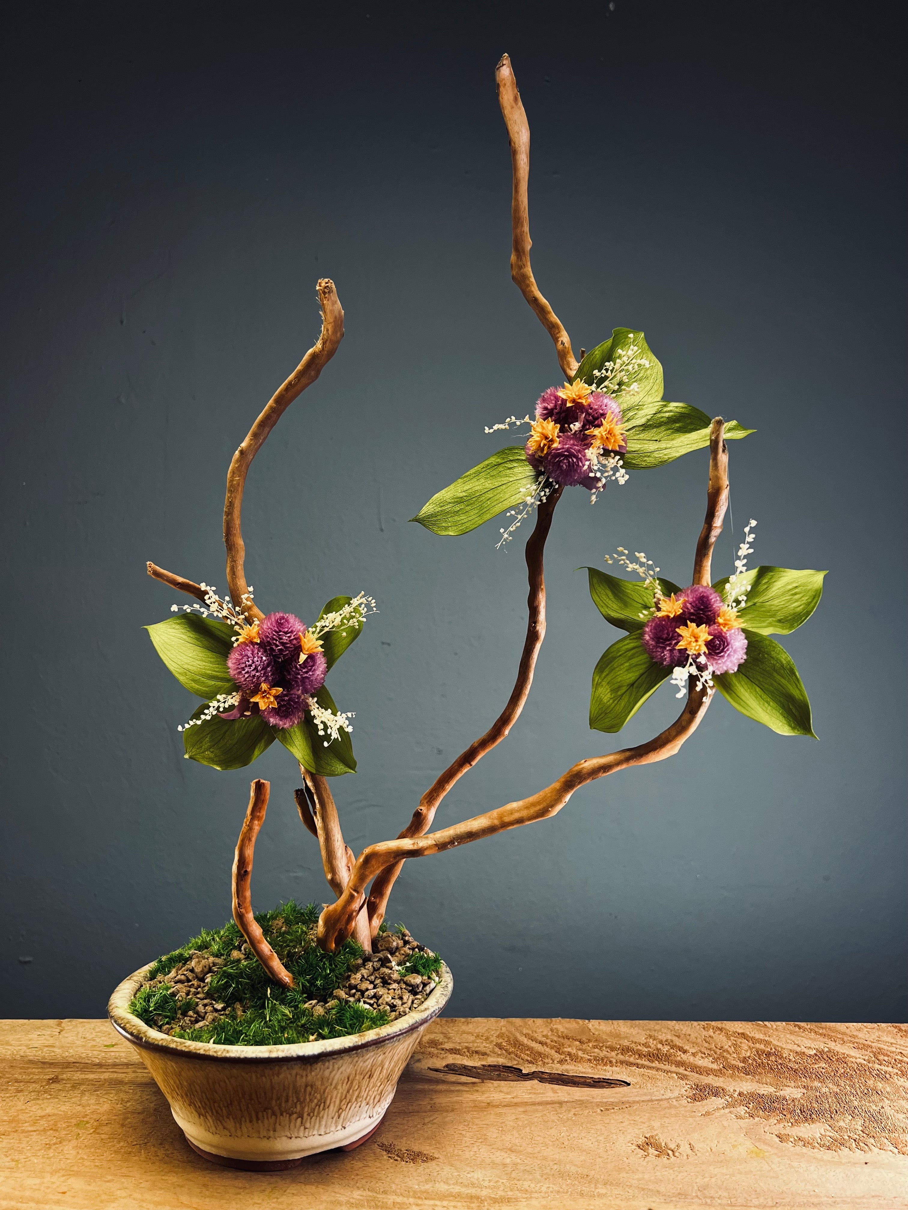 Children of the Forest - Large version (Preserved Plants)