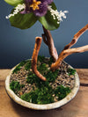 Children of the Forest - Large version (Preserved Plants)