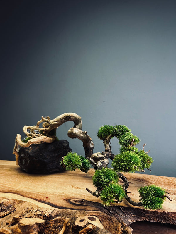 Summer's Whispers - Larger version (Preserved Plants)