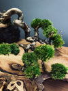 Summer's Whispers - Larger version (Preserved Plants)