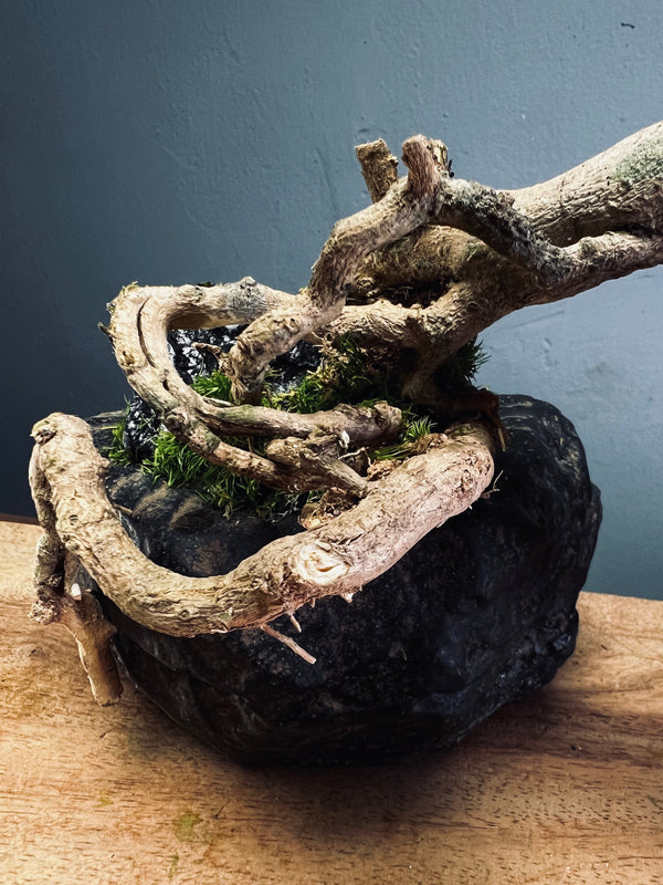 Summer's Whispers - Larger version (Preserved Plants)