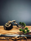 Summer's Whispers - Larger version (Preserved Plants)
