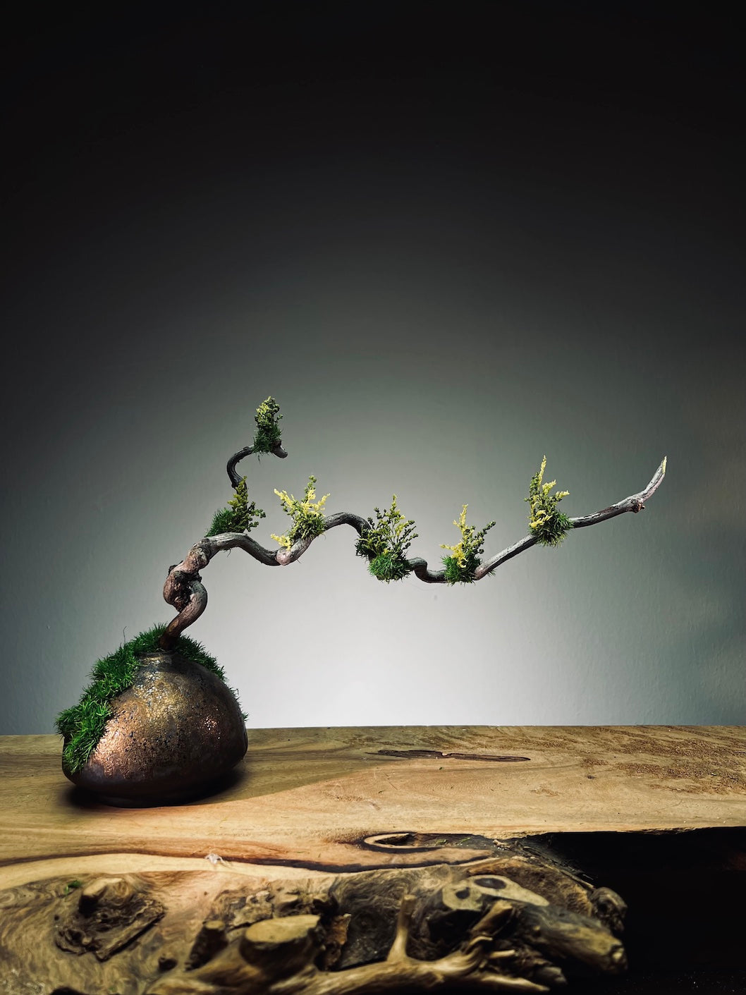 Slow Wood - The Journey - Dragon Date in Spring (Preserved Plants)