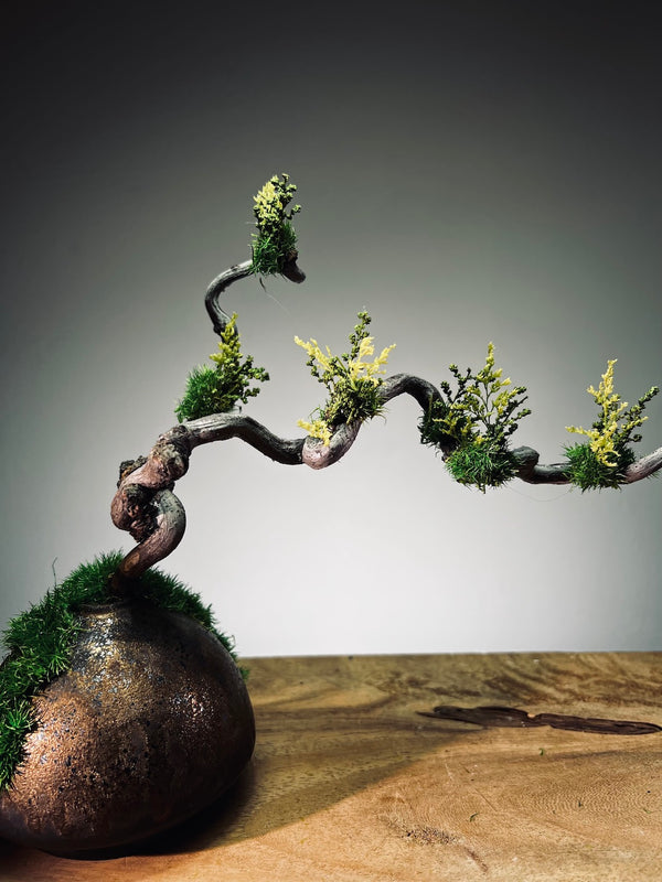 Slow Wood - The Journey - Dragon Date in Spring (Preserved Plants)