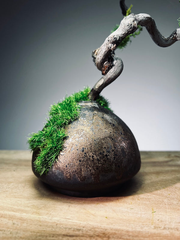 Slow Wood - The Journey - Dragon Date in Spring (Preserved Plants)