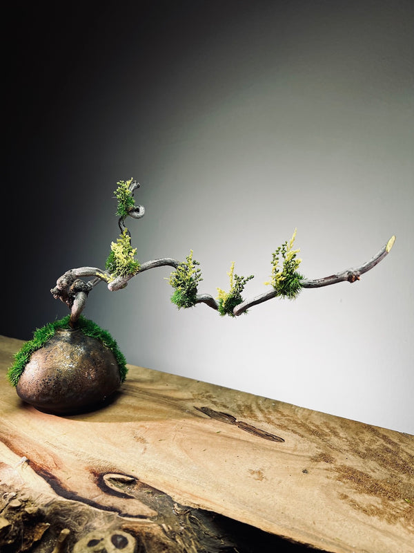 Slow Wood - The Journey - Dragon Date in Spring (Preserved Plants)