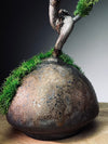 Slow Wood - The Journey - Dragon Date in Spring (Preserved Plants)