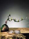 Slow Wood - The Journey - Dragon Date in Spring (Preserved Plants)