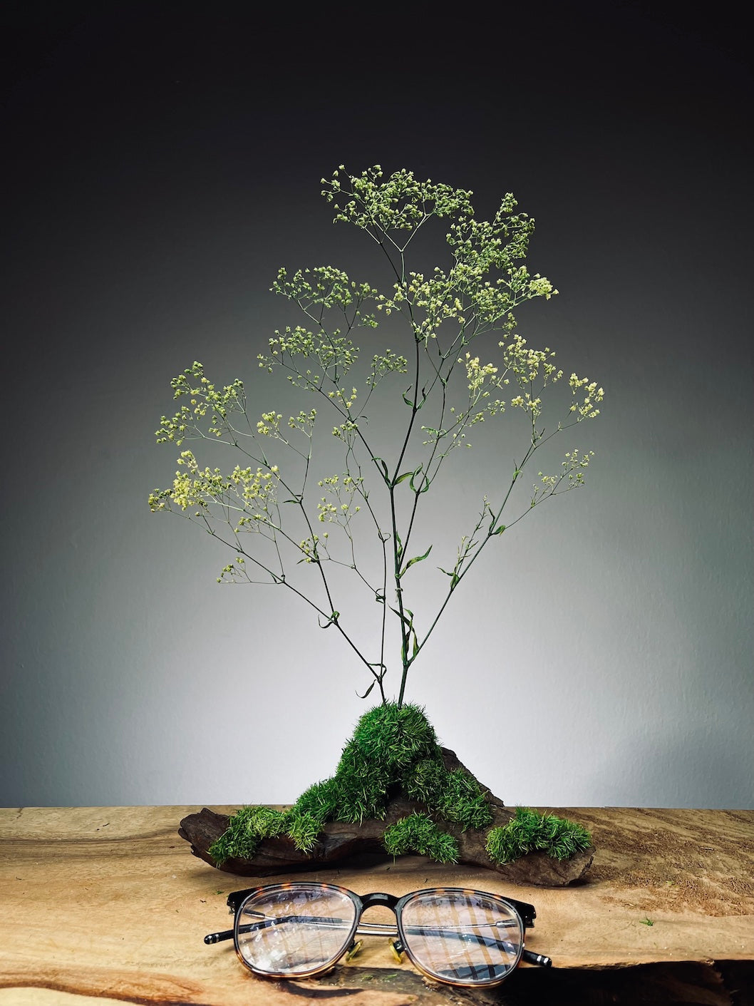 Baby's Dreams - Smaller version (Preserved Plants)