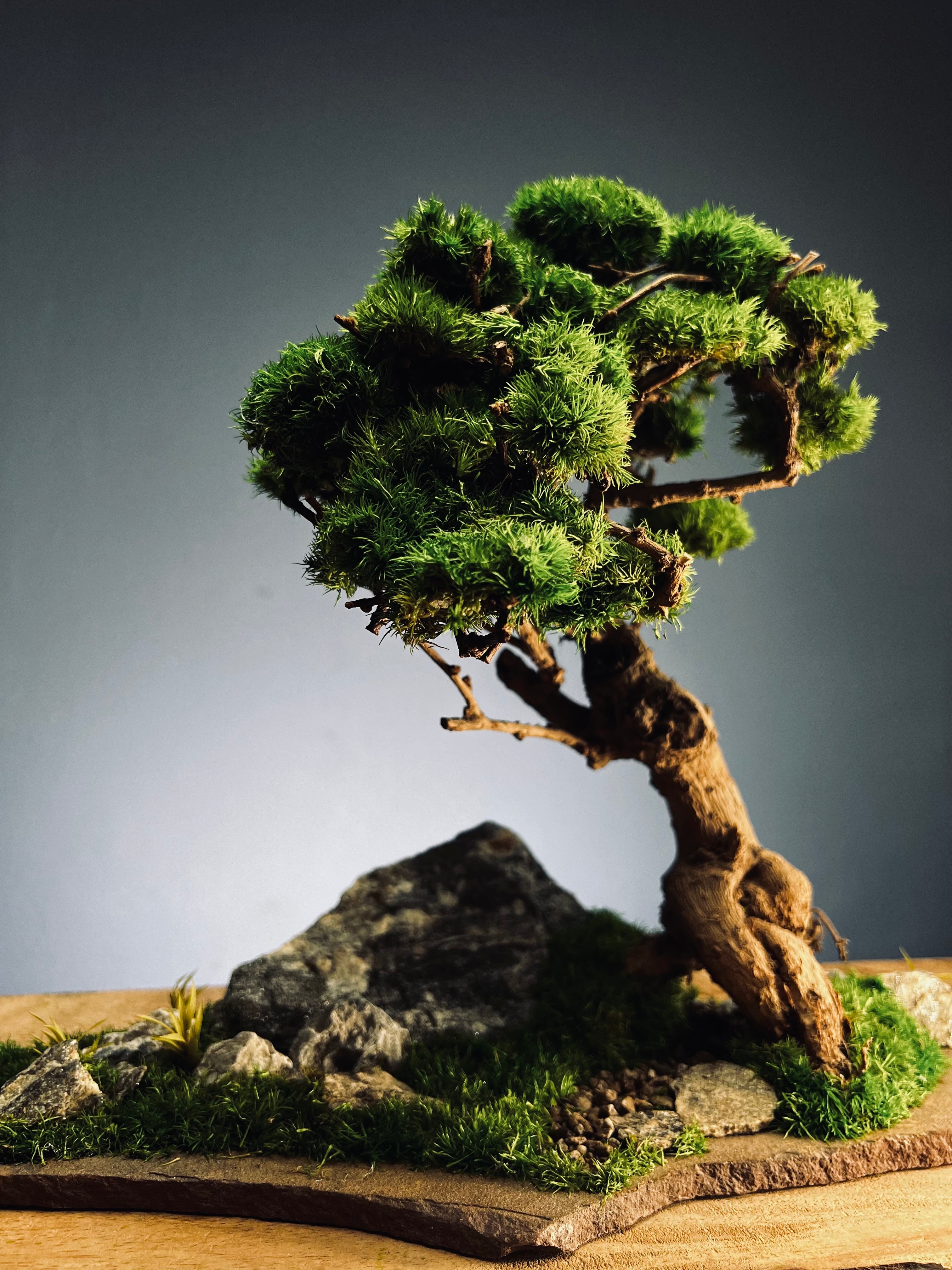 Grove in Chianti (Preserved Plants)