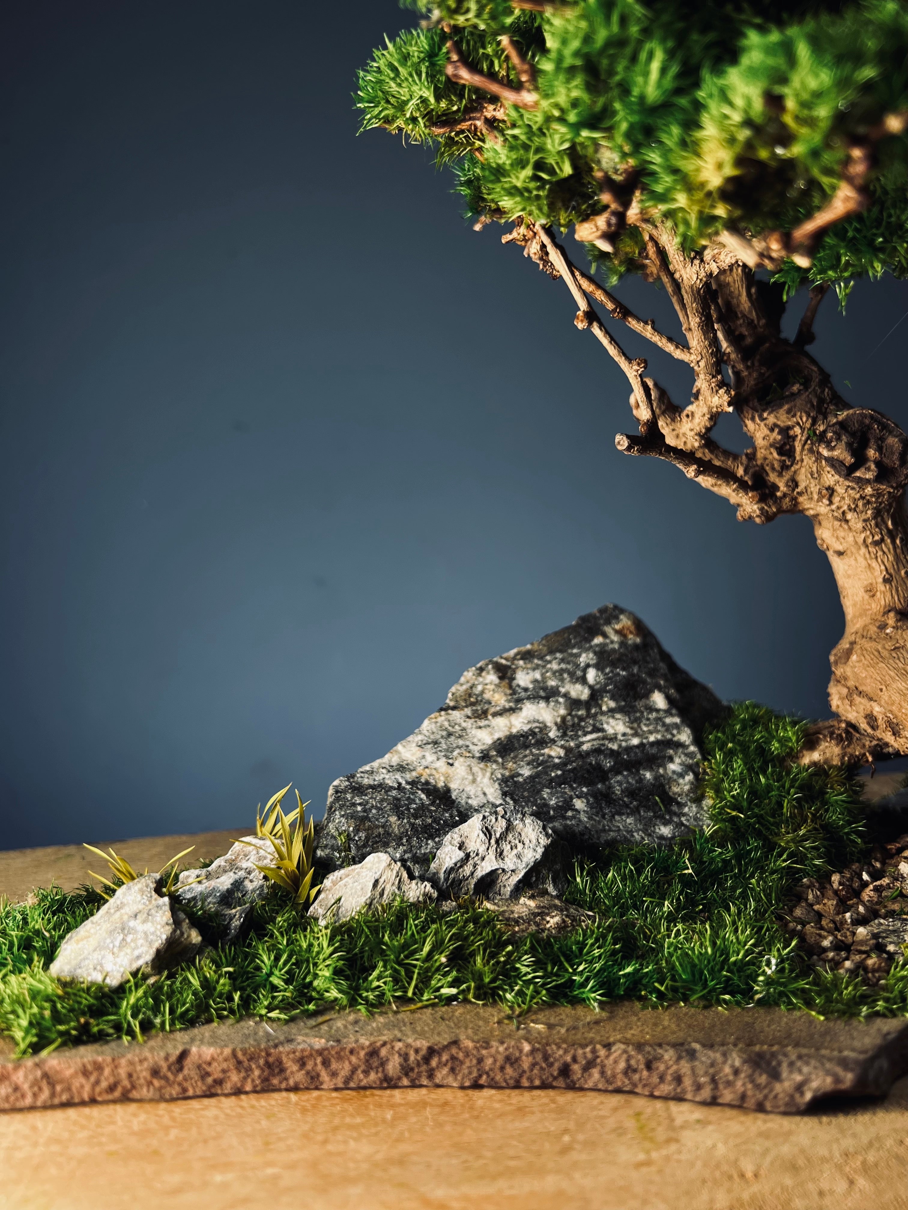 Grove in Chianti (Preserved Plants)