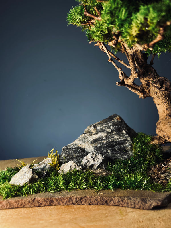 Grove in Chianti (Preserved Plants)