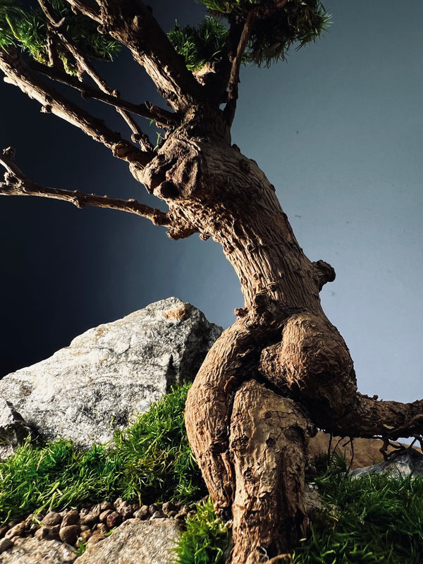 Grove in Chianti (Preserved Plants)