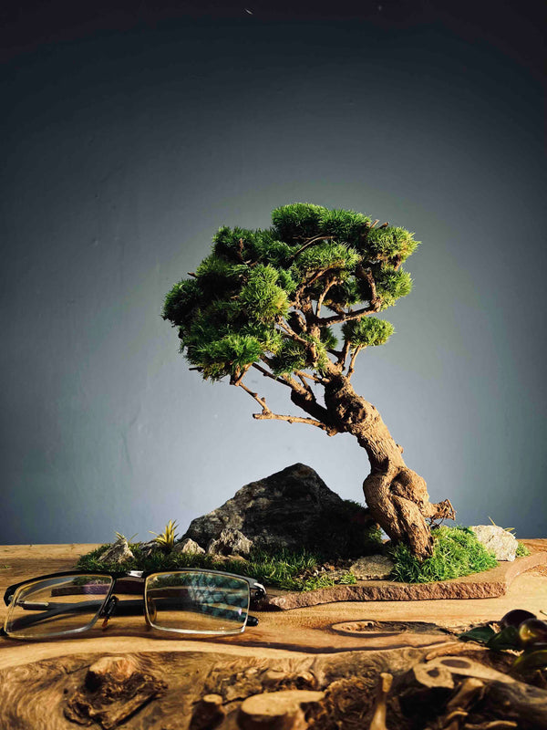 Grove in Chianti (Preserved Plants)