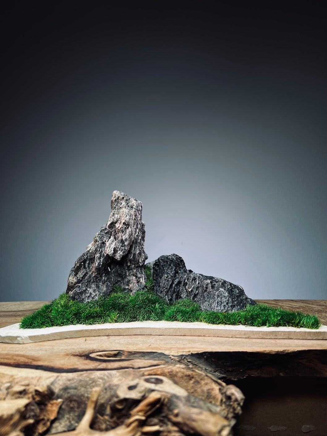 Stormy Hill (Stone Work+Preserved Plant)