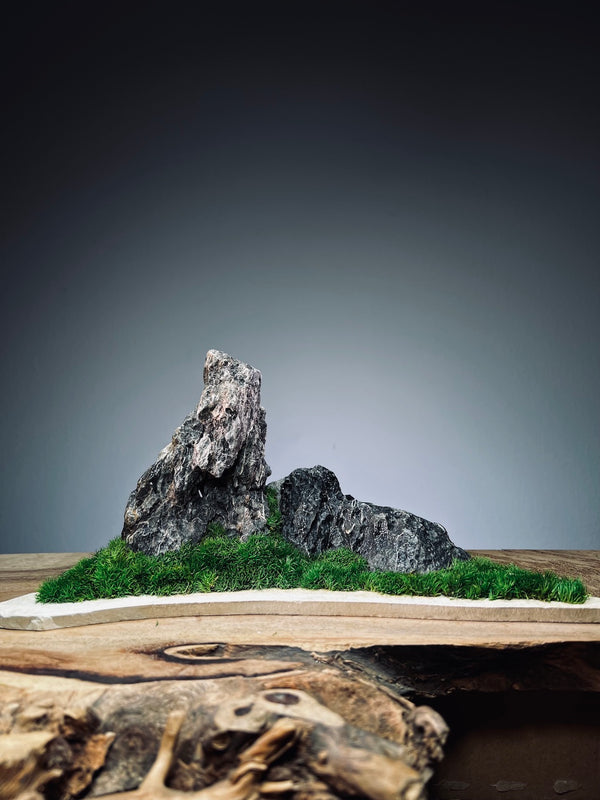 Stormy Hill (Stone Work+Preserved Plant)