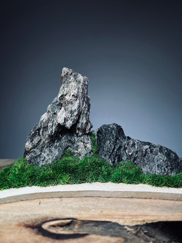 Stormy Hill (Stone Work+Preserved Plant)